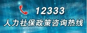12333