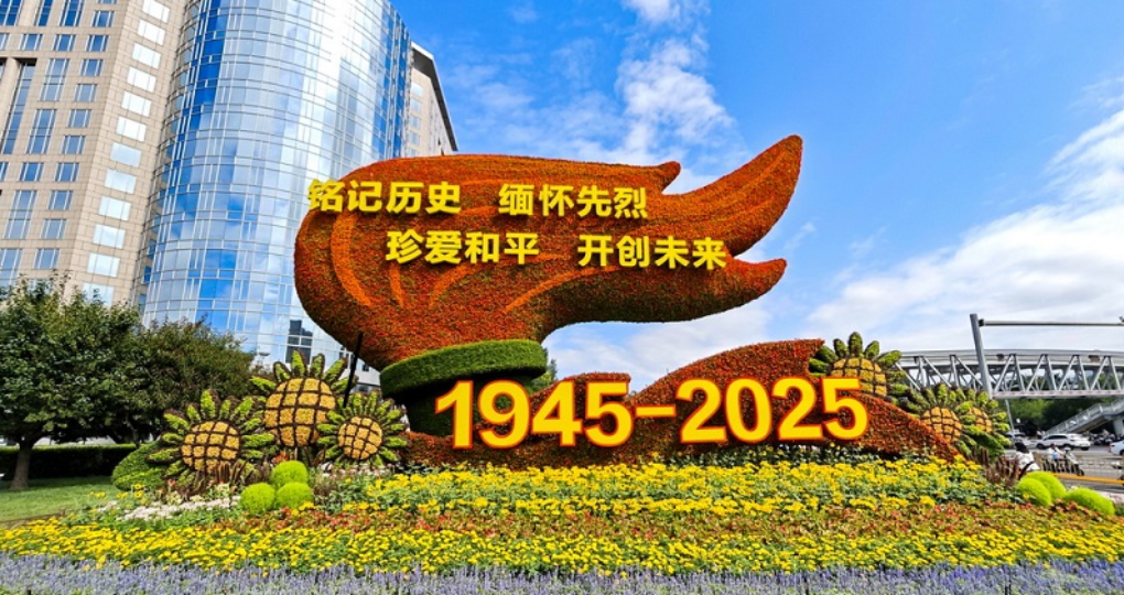 սʤ80⻨̳